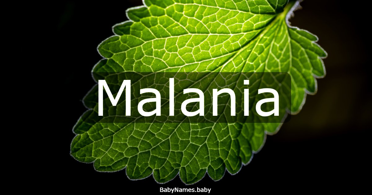 Malania
