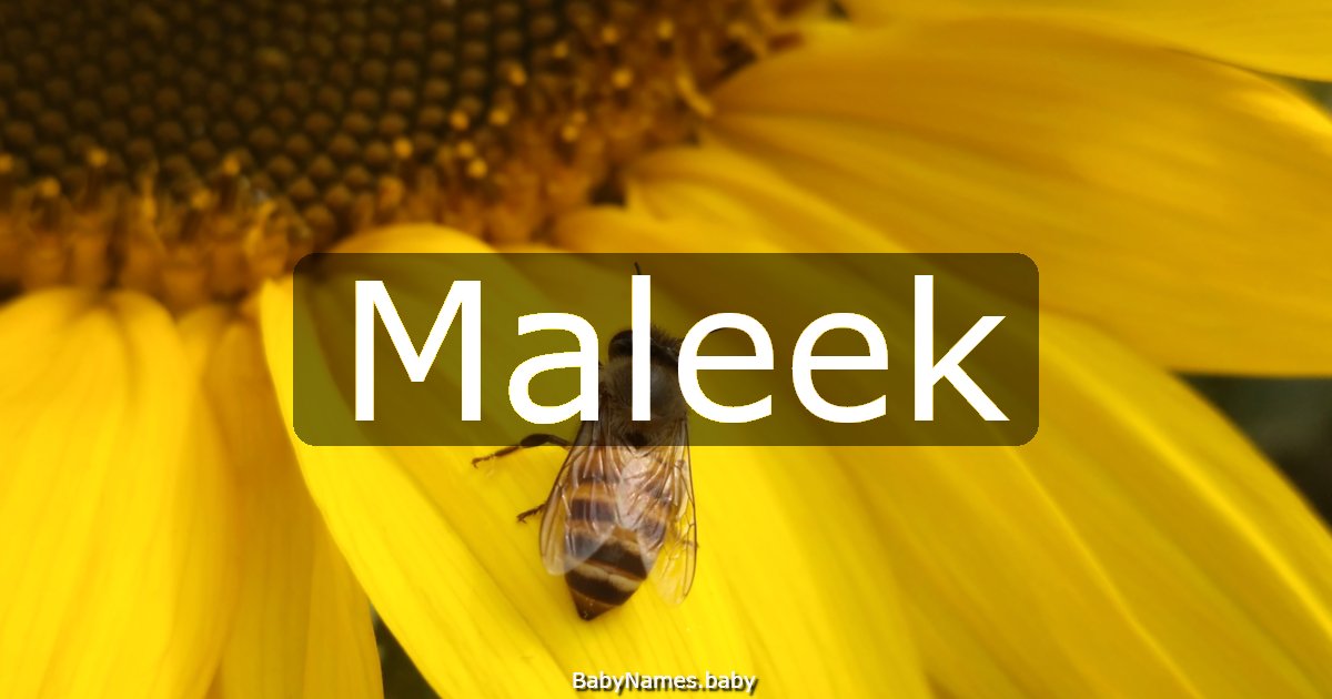 Maleek