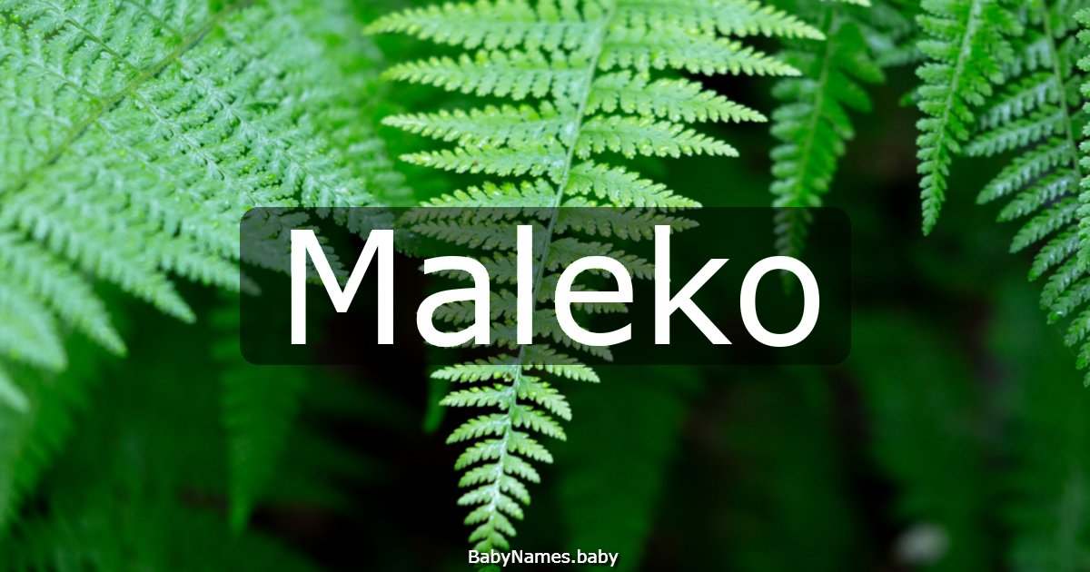 Maleko