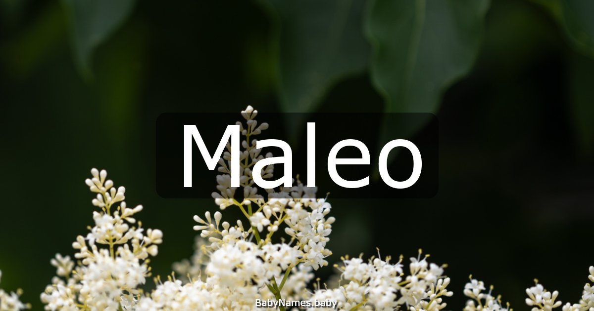 Maleo