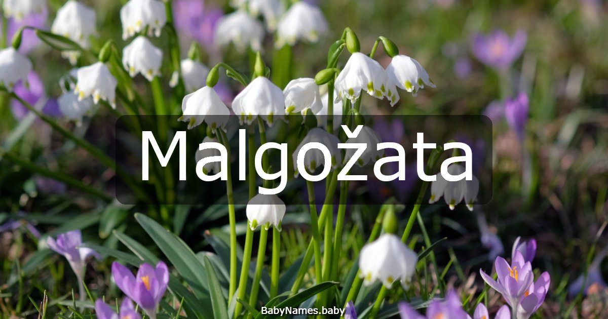 Malgožata