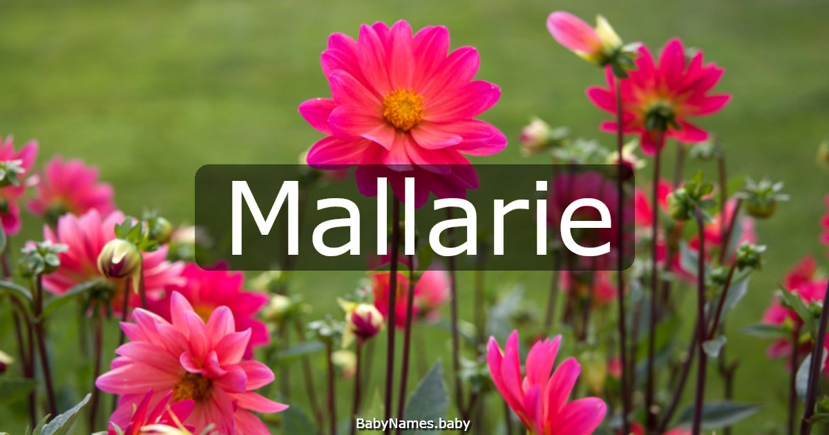 Mallarie