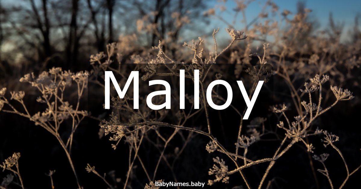 Malloy