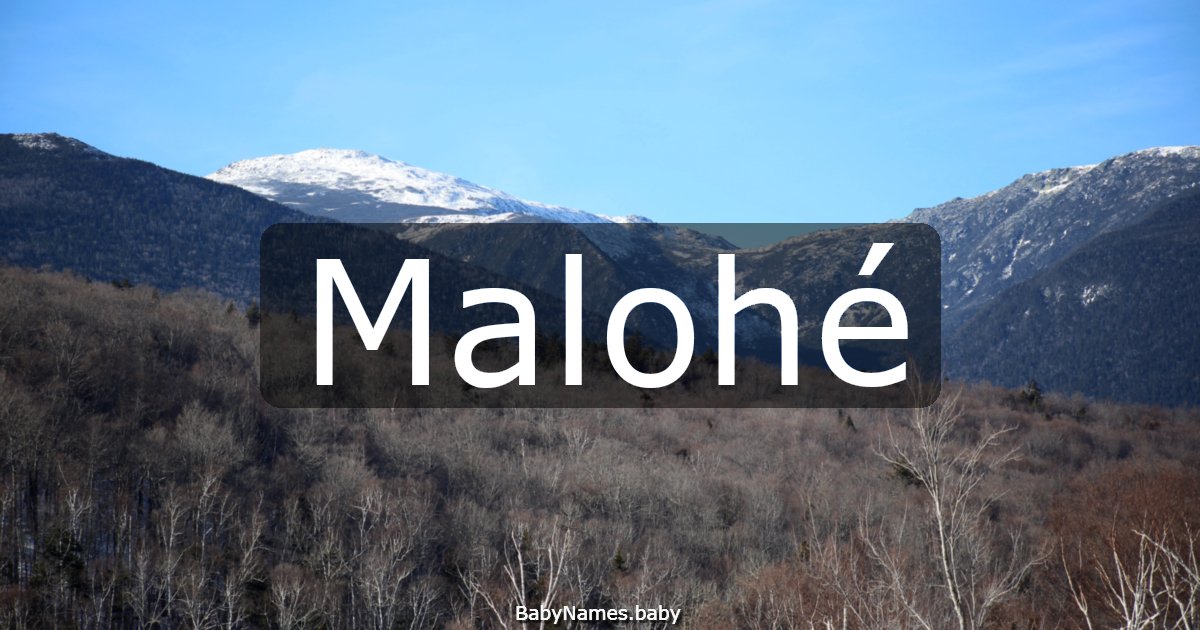 Malohé