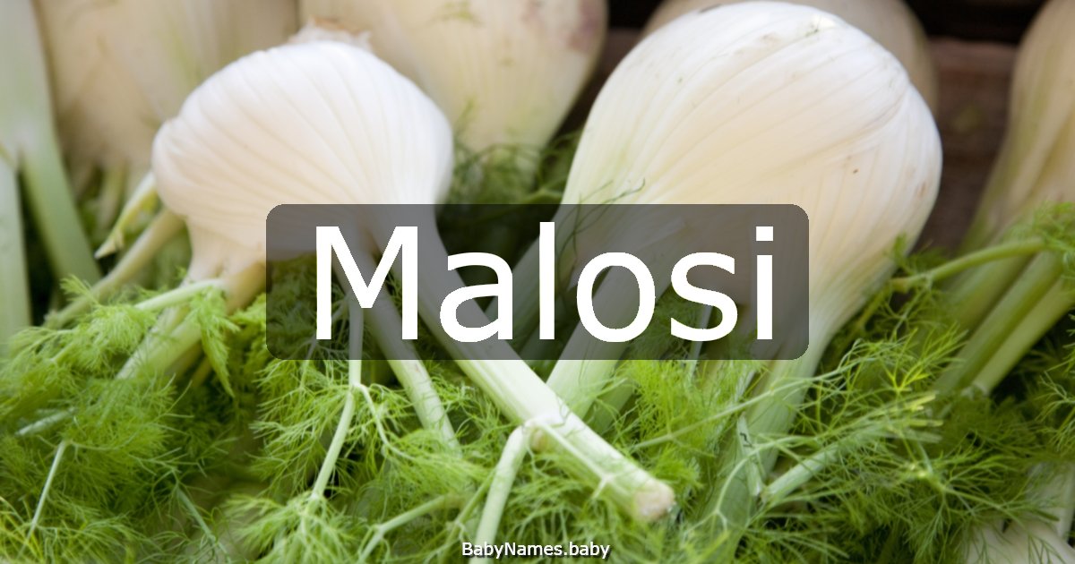 Malosi