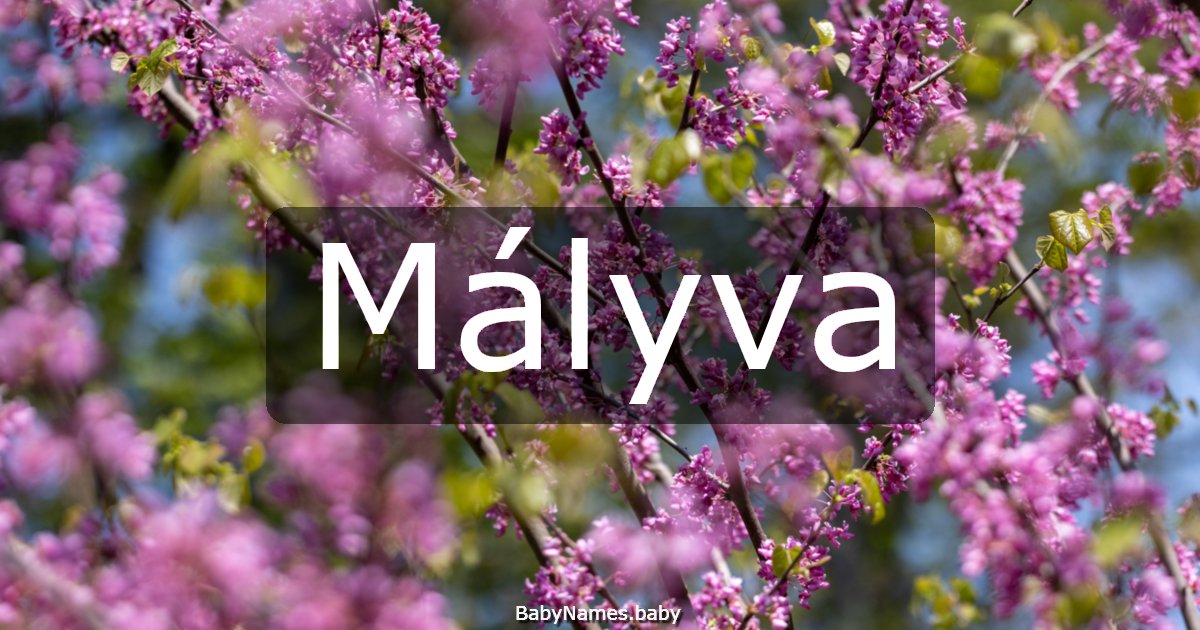 Mályva