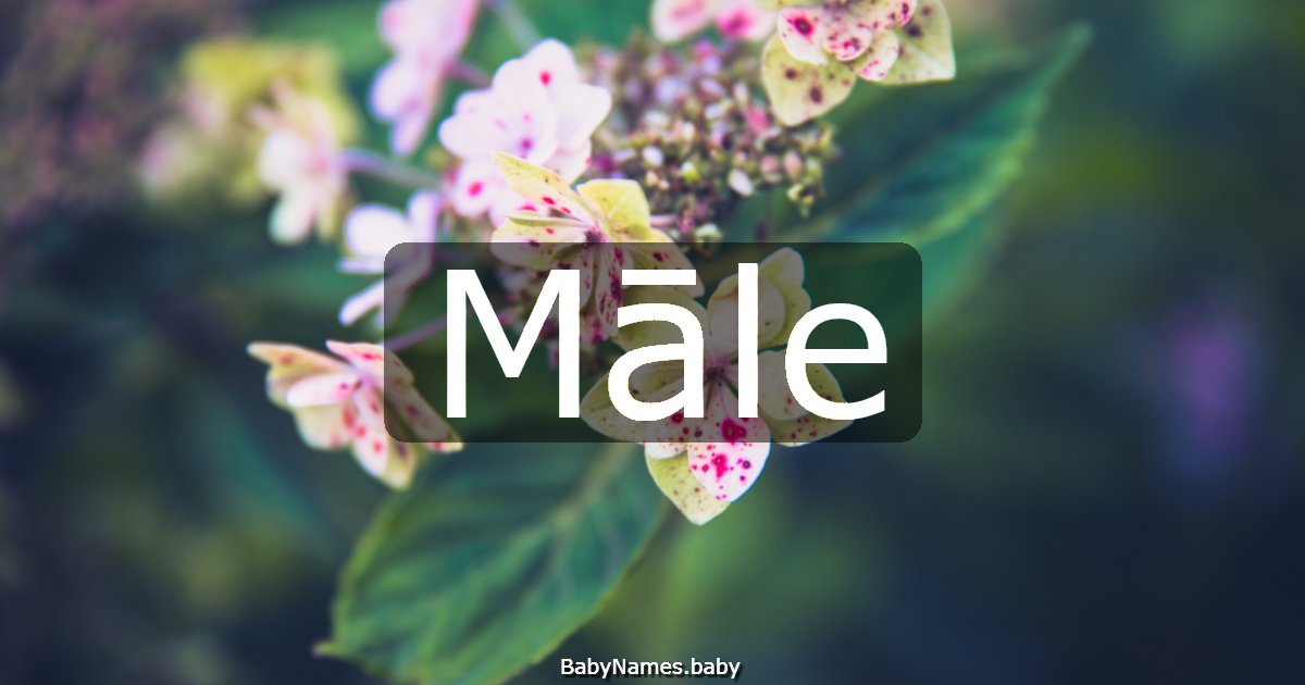 Māle