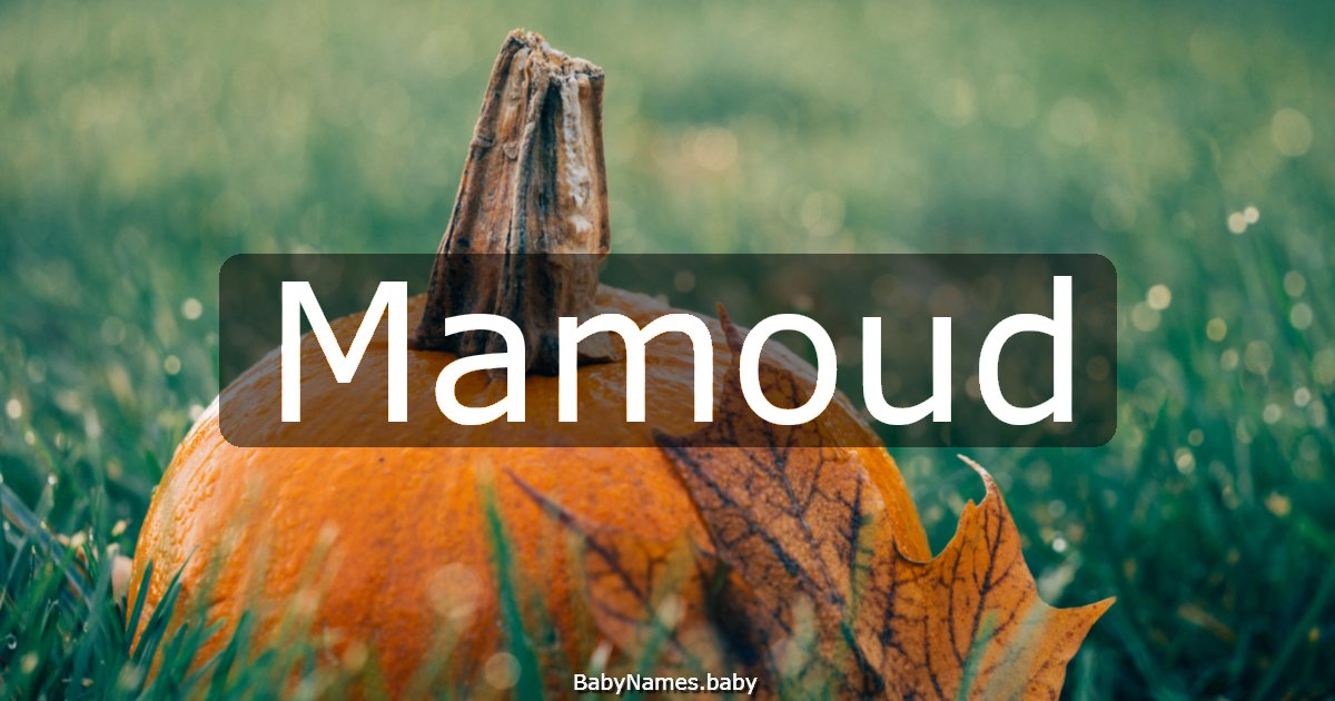 Mamoud