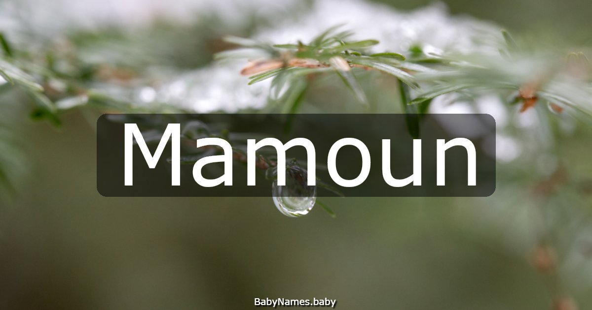 Mamoun