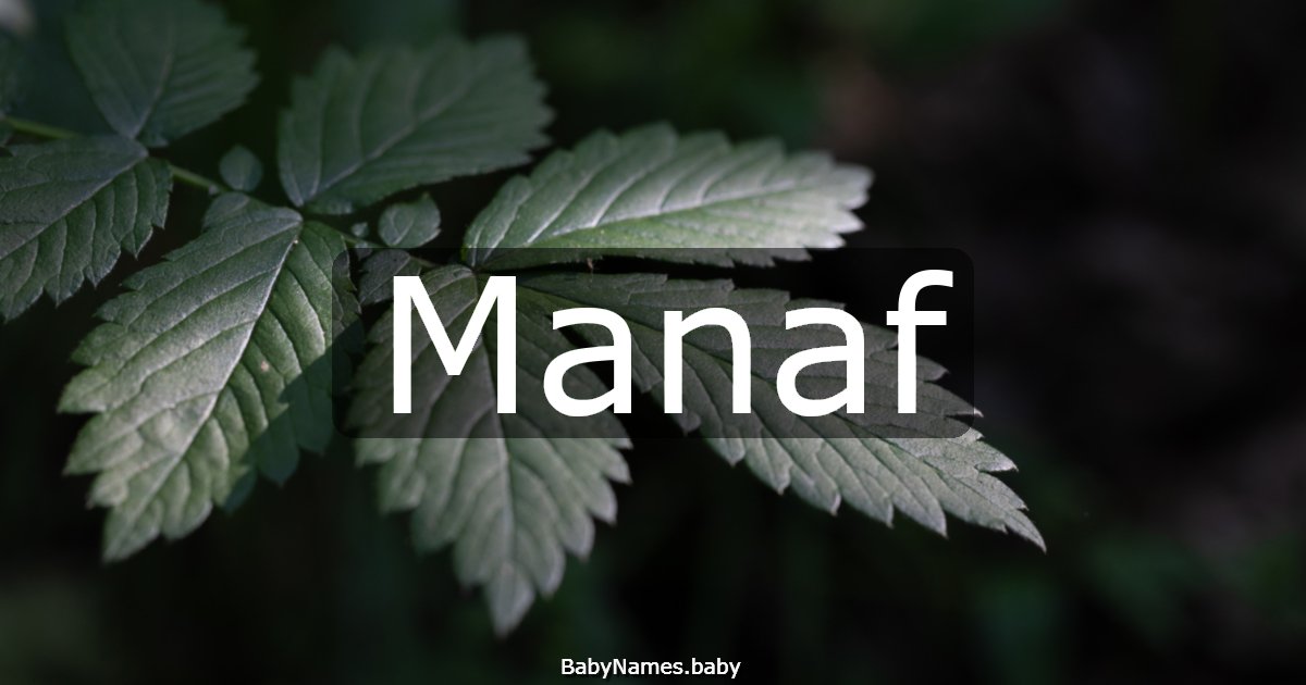 Manaf