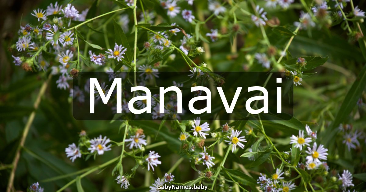 Manavai