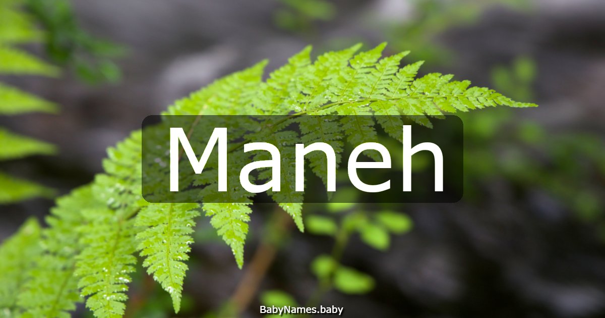 Maneh