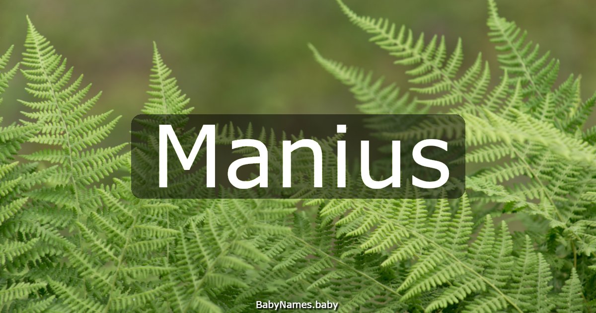 Manius