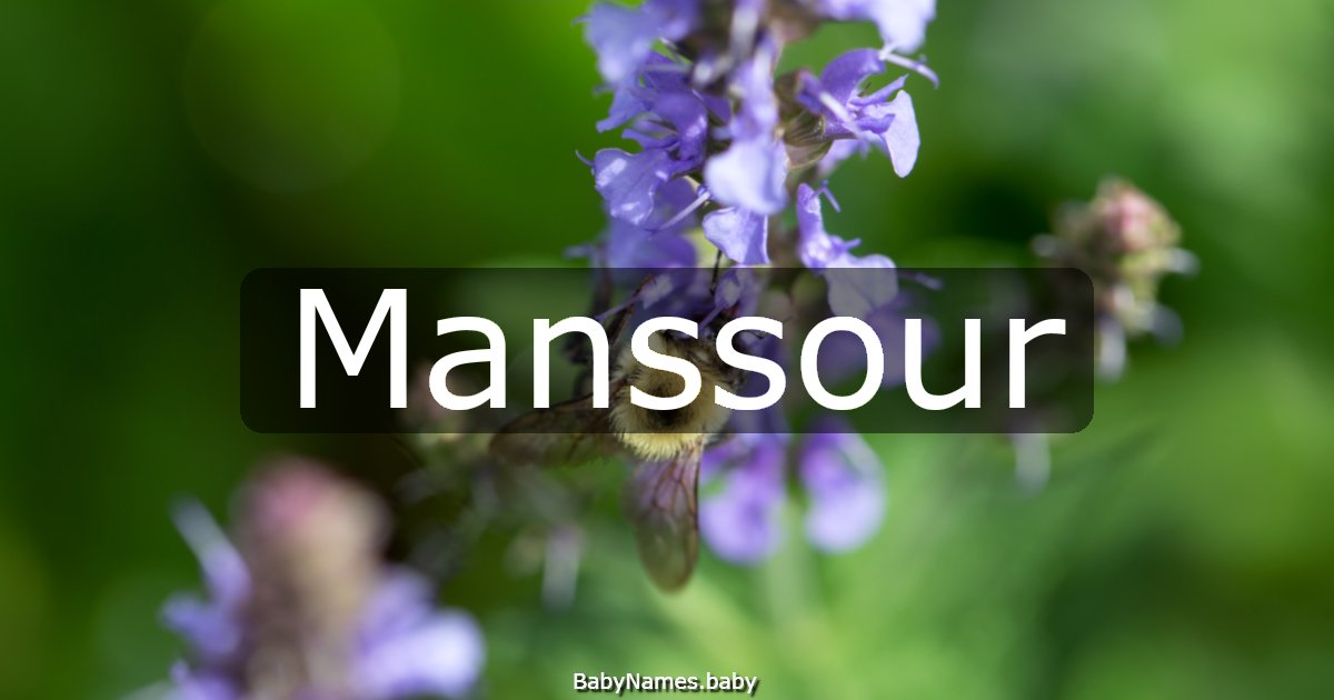 Manssour