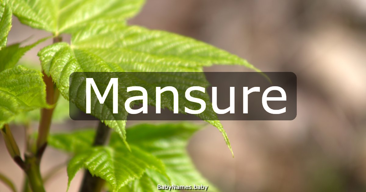 Mansure