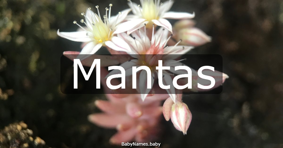 Mantas