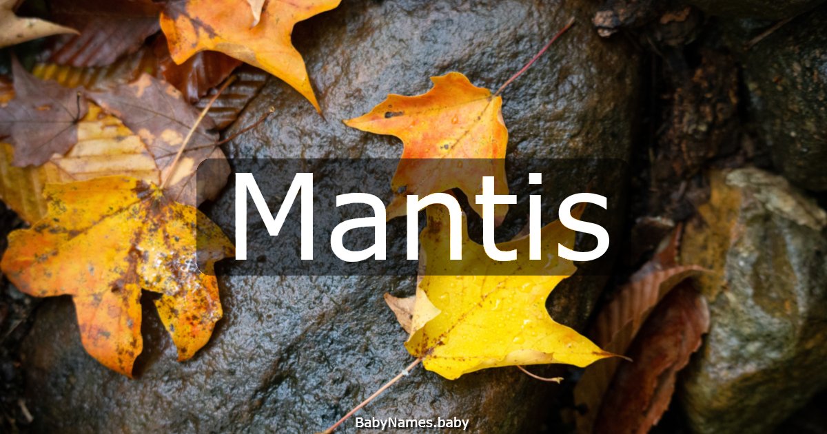 Mantis