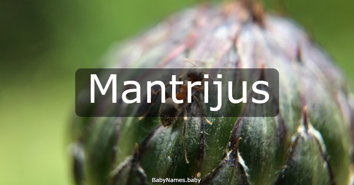 Mantrijus