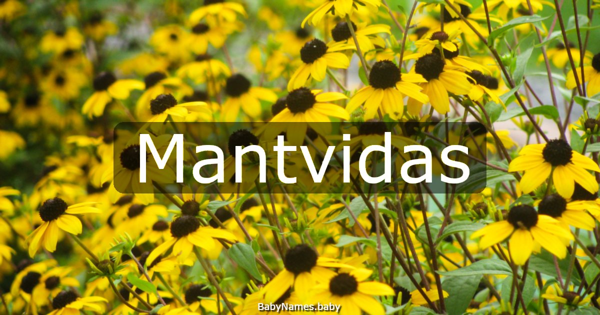 Mantvidas
