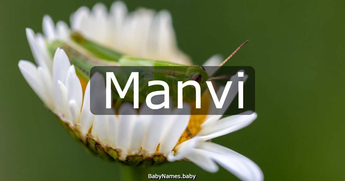 Manvi