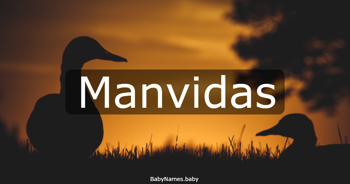 Manvidas