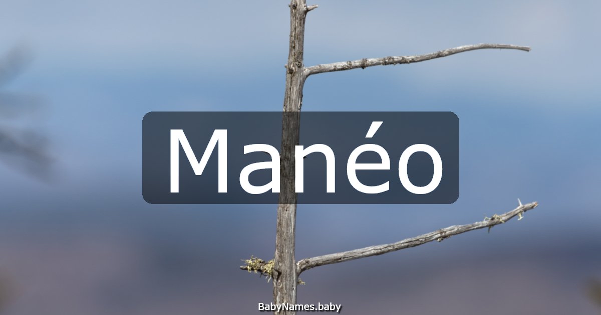 Manéo
