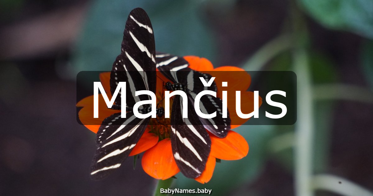 Mančius