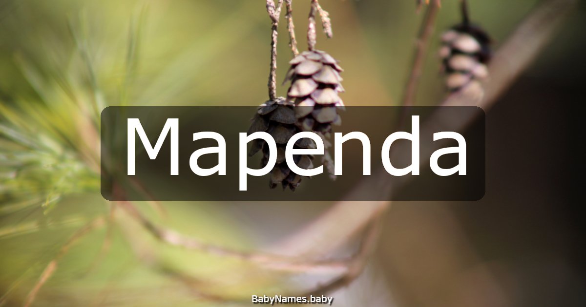 Mapenda