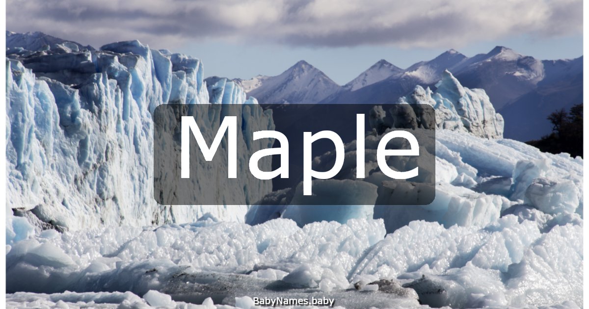 Maple