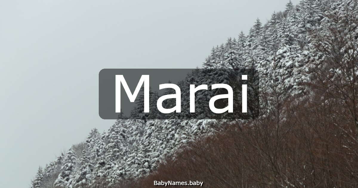 Marai