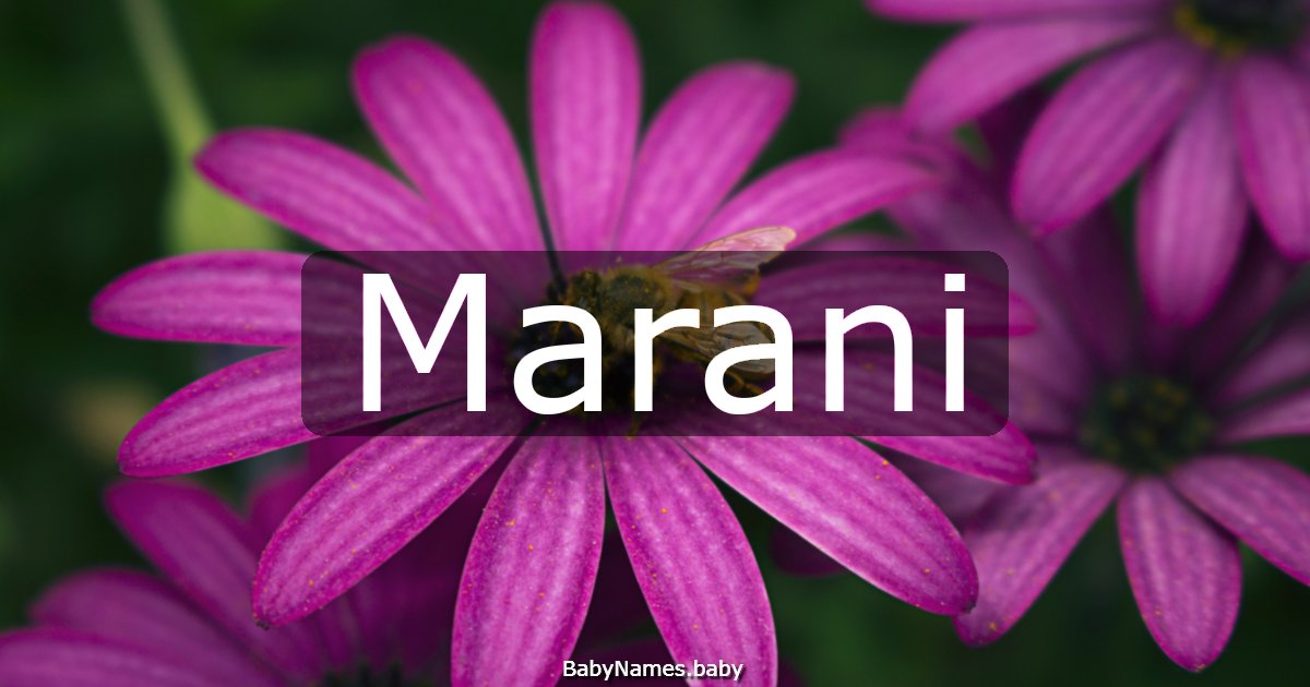Marani
