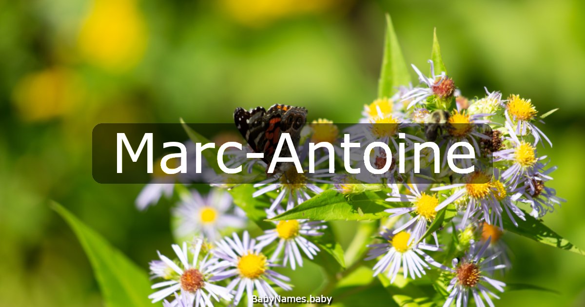 Marc-Antoine