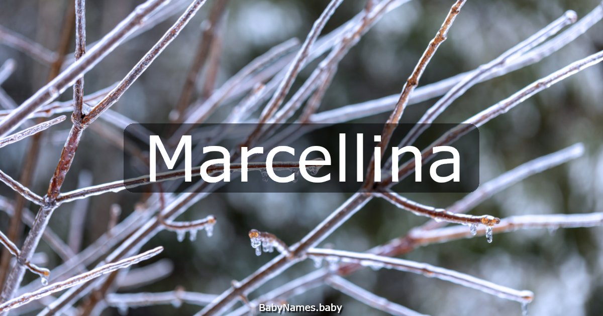 Marcellina