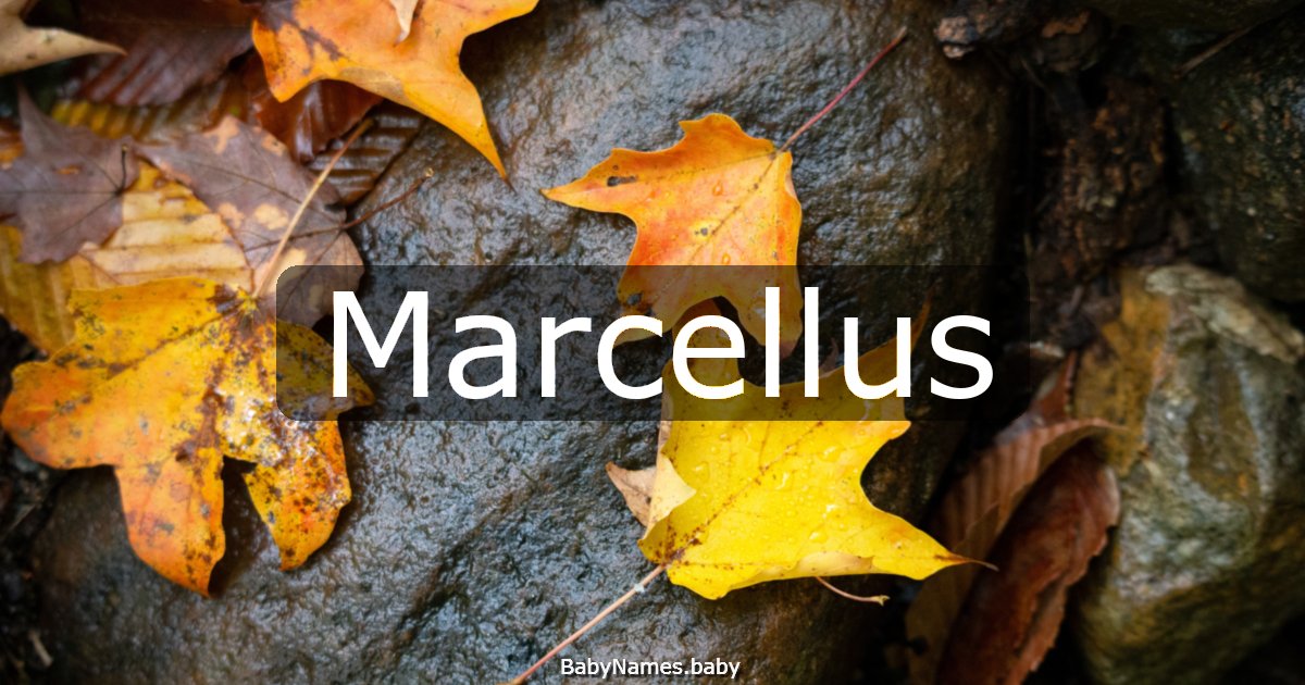 Marcellus