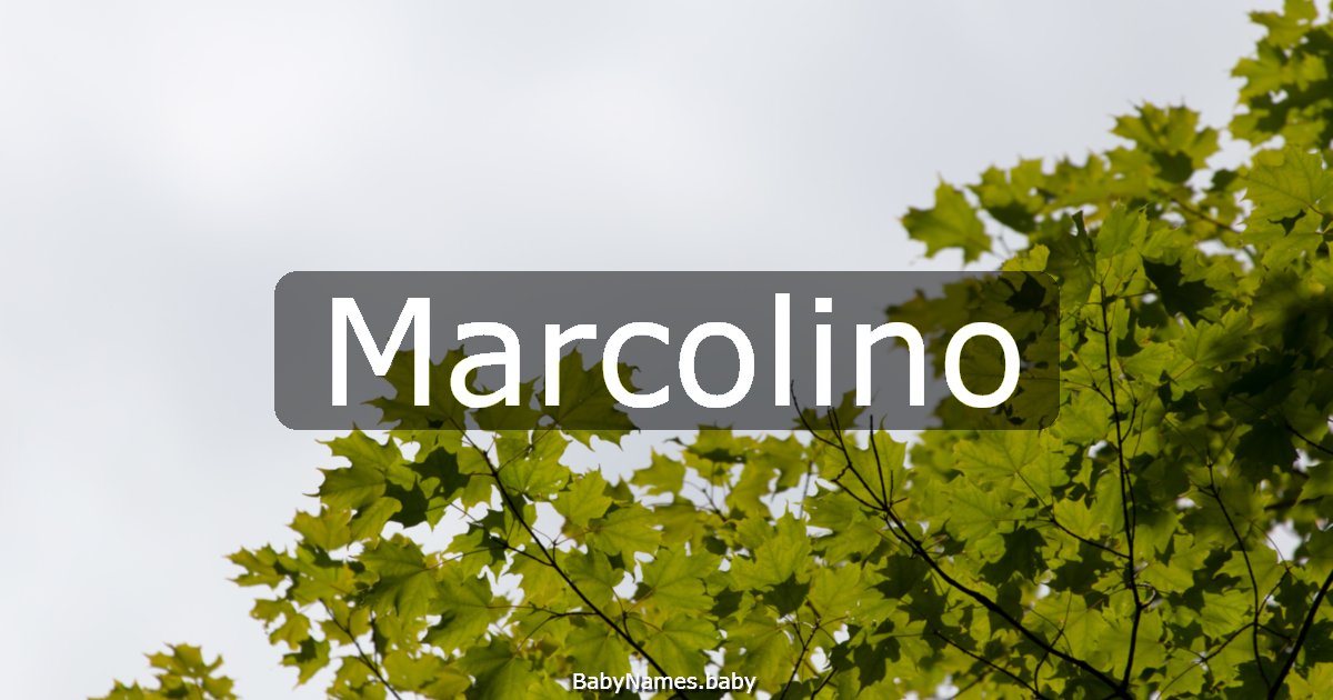 Marcolino