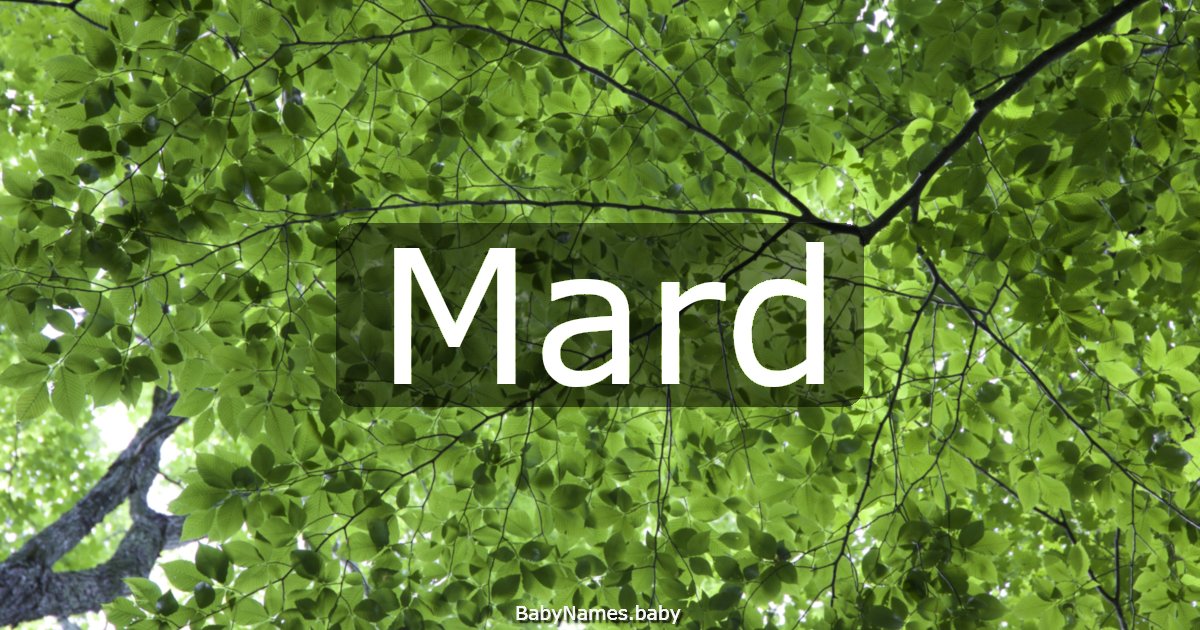 Mard