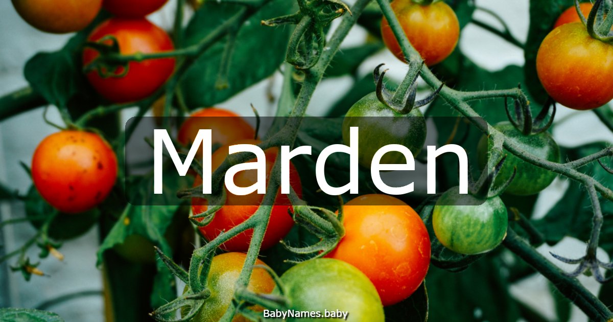 Marden