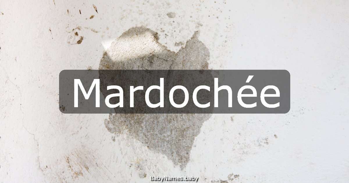 Mardochée