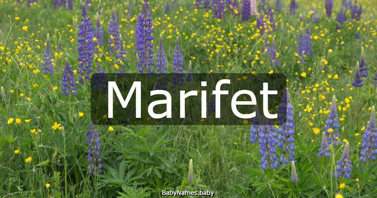 Marifet