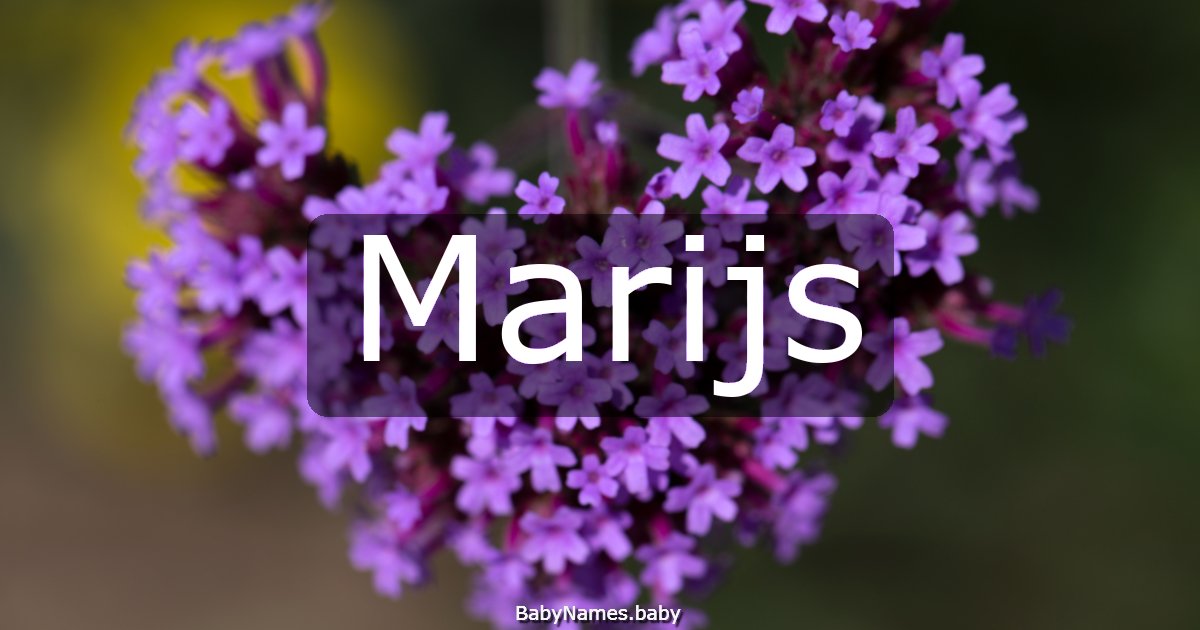 Marijs