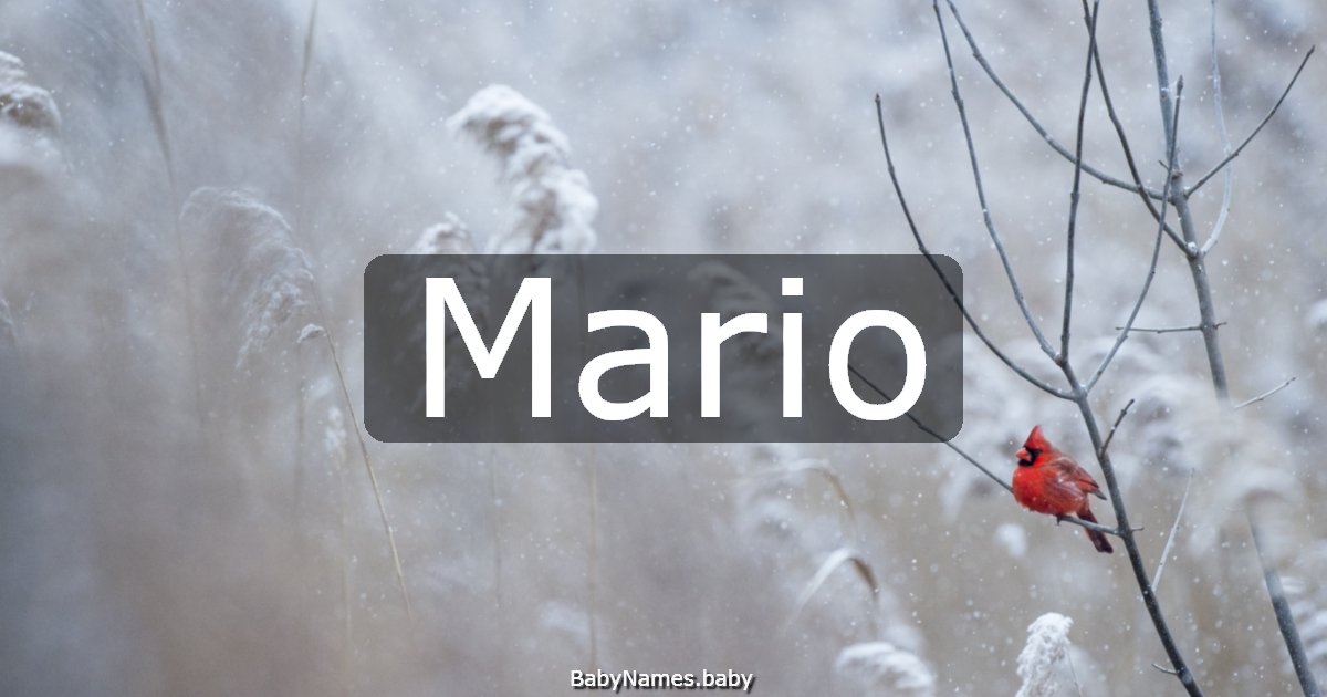 Mario