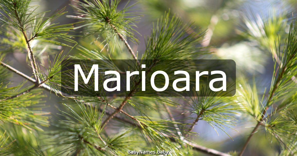 Marioara