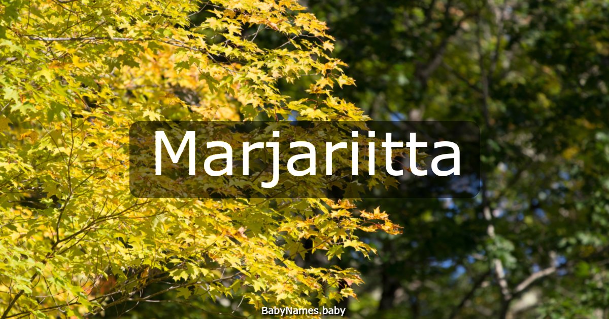 Marjariitta