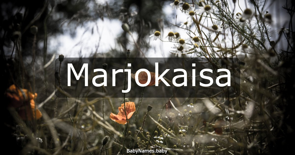 Marjokaisa