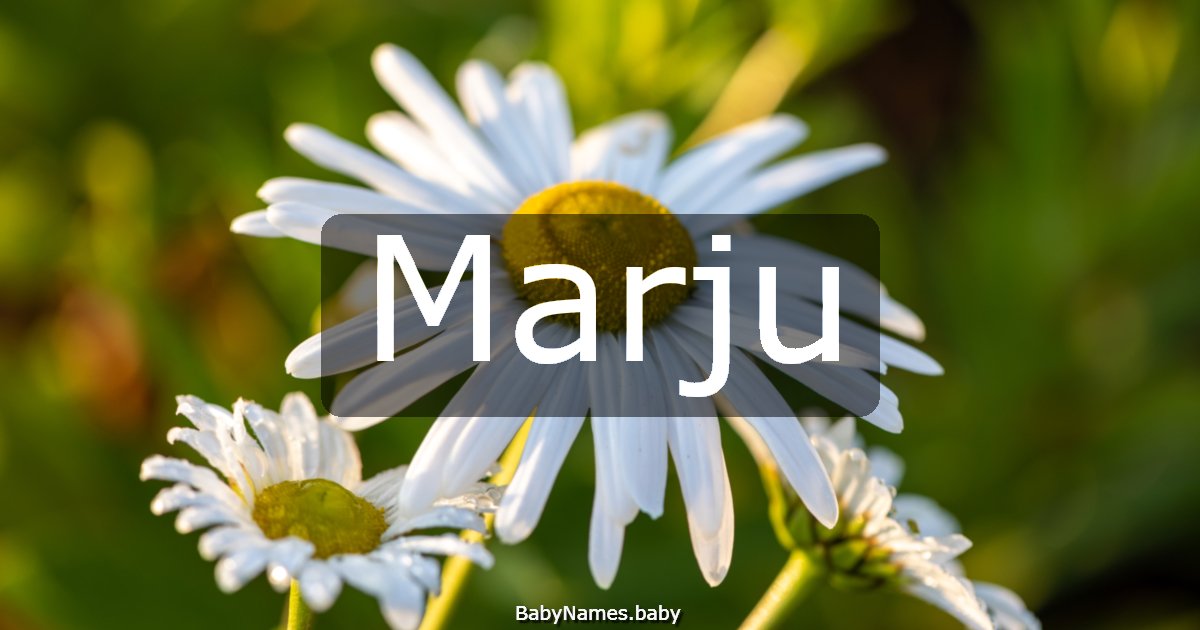 Marju