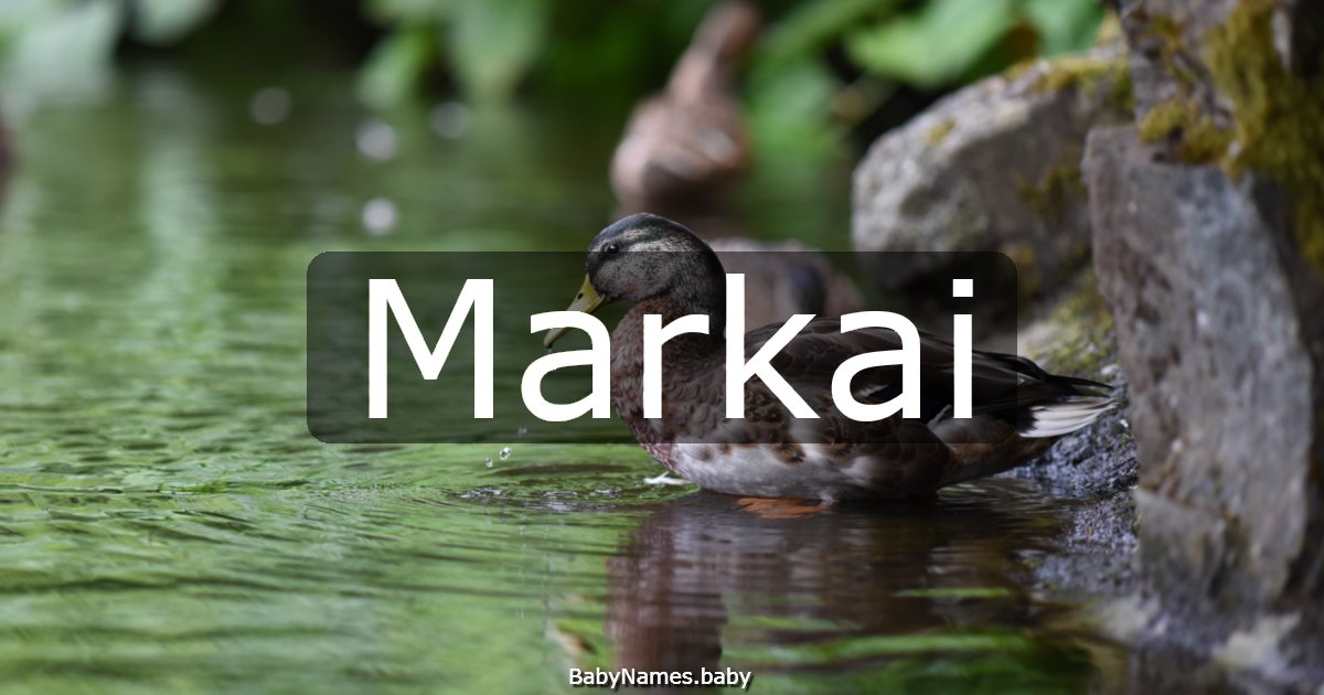 Markai