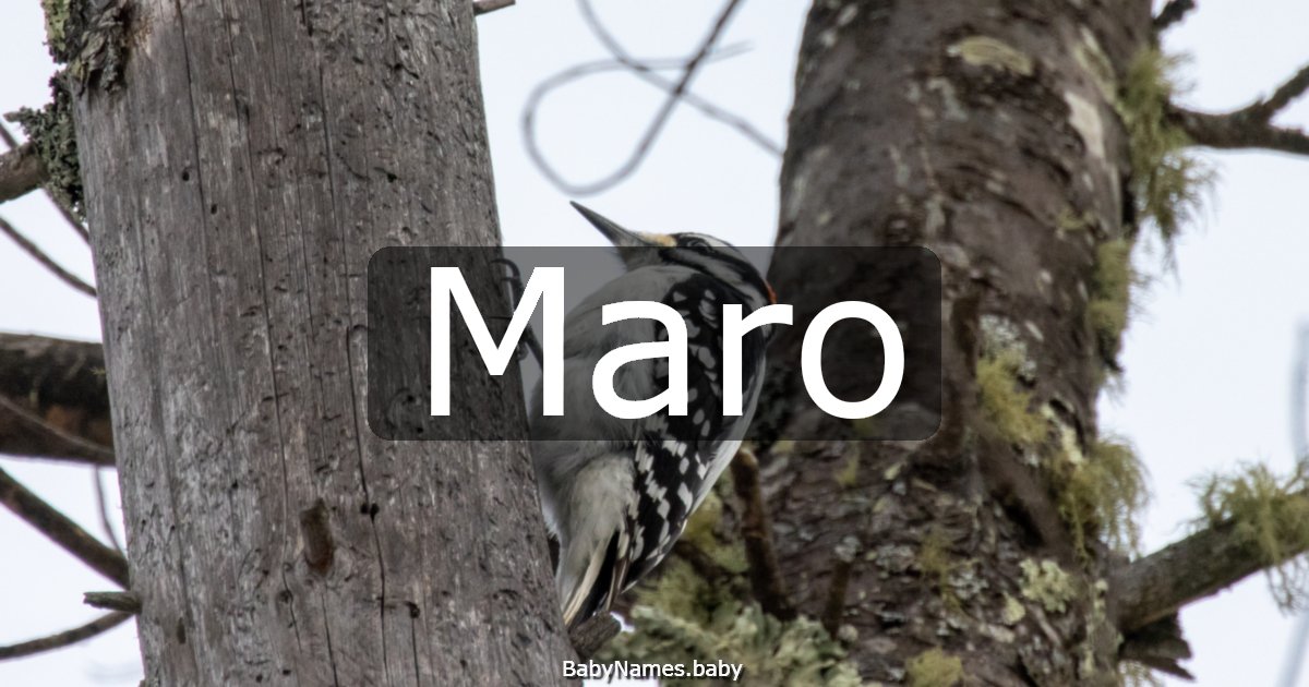 Maro