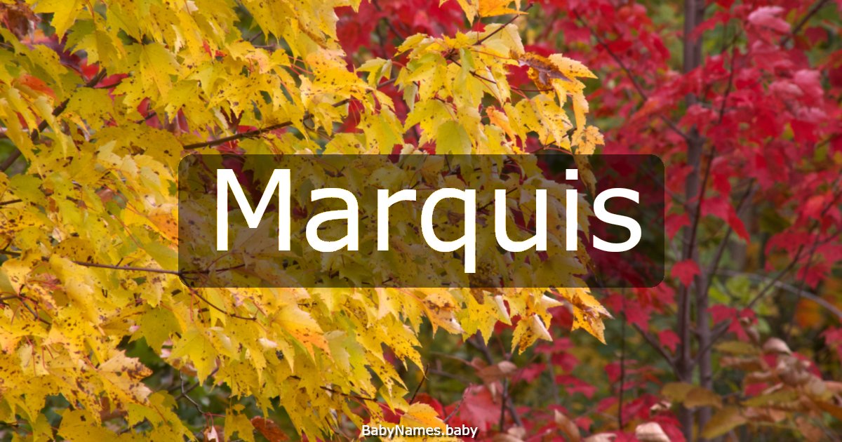 Marquis