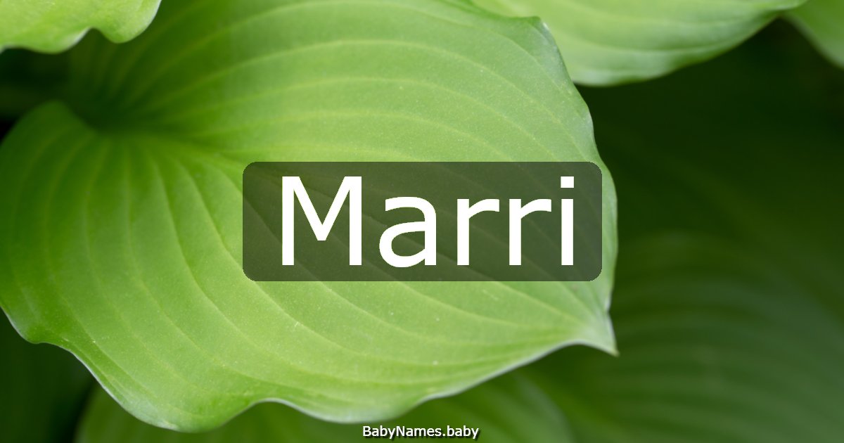 Marri