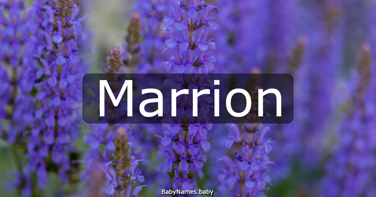 Marrion